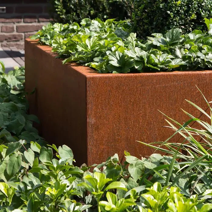 Moestuinbak cortenstaal 200x100x60cm